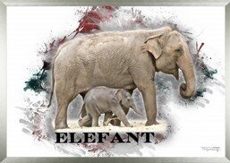 elefanta3designrahmen.jpg